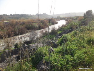 lle del Simeto-24-02-2013 09-13-26